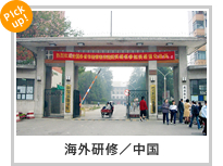 海外研修／中国
