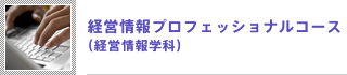 経営情報プロフェッショナルコース(経営情報学科)