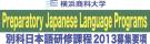 2013ad_J_course
