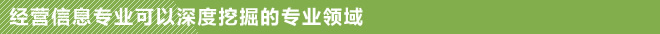 经营信息专业可以深度挖掘的专业领域