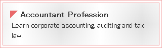 Accountant Profession
