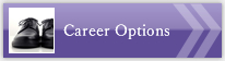 Career Options　