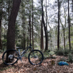 マウンテンバイクは万病に効くと言われています。