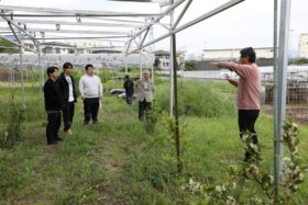 60周年記念事業「クリーンエネルギー100％キャンパス」への挑戦<br>小田原かなごてファーム視察レポート